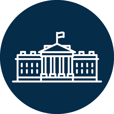 white house icon